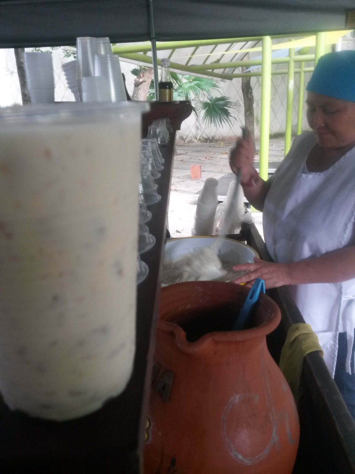 Archivo de Chicha Venezolana, fotografía 5 de 14.